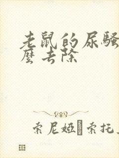 老鼠的尿骚味怎么去除