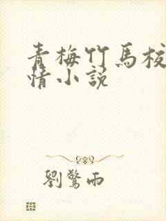 青梅竹马校园言情小说