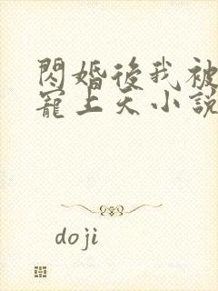 闪婚后我被大佬宠上天小说