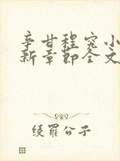 辛甘程究小说最新章节全文免费阅读