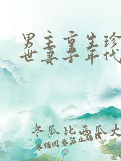 男主重生珍惜前世妻子年代文