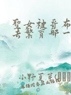 圣女被哥布林抓去繁育哪一集出现