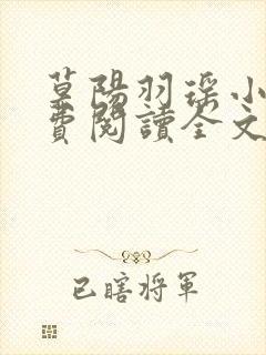 莫阳羽瑶小说免费阅读全文最新