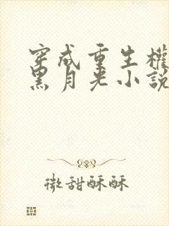 穿成重生权臣的黑月光小说在线阅读