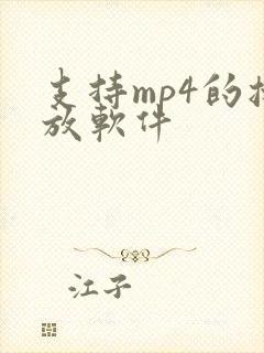 支持mp4的播放软件