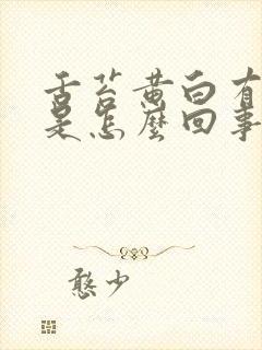 舌苔黄白有齿痕是怎么回事