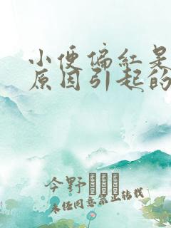 小便偏红是什么原因引起的