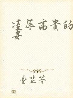 凌辱高贵的美人妻