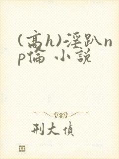 (高h)淫趴np伦 小说