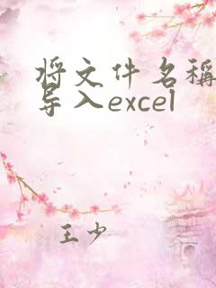 将文件名称批量导入excel
