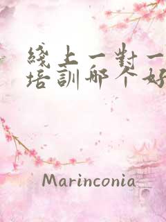 线上一对一英语培训哪个好