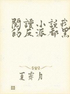 阅读小说我攻略的反派都黑化了