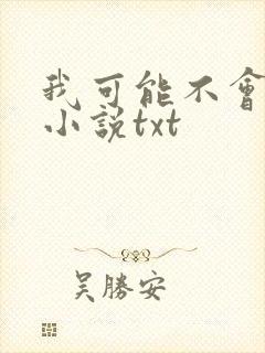 我可能不会爱你小说txt