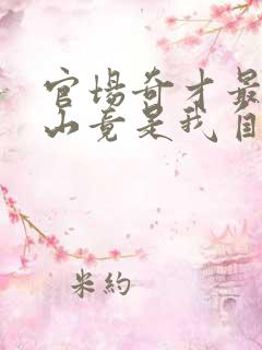 官场奇才最强靠山竟是我自己李霖