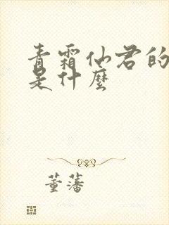 青霜仙君的结局是什么