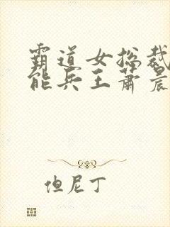 霸道女总裁的全能兵王萧晨