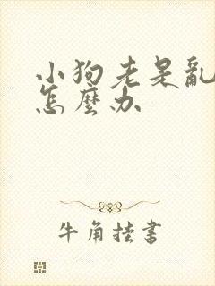 小狗老是乱拉尿怎么办