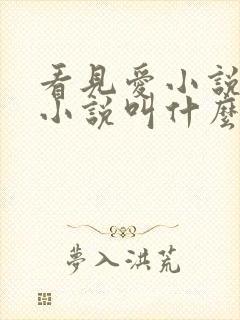 看见爱小说原著小说叫什么名字