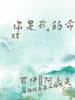 你是我的命运txt