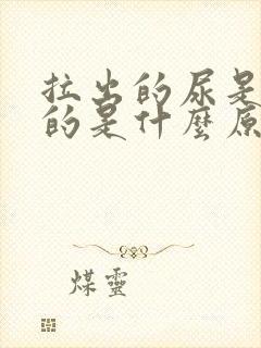 拉出的尿是白色的是什么原因