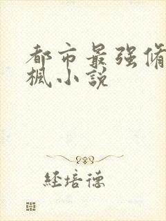 都市最强修真叶枫小说