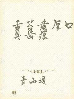 舌苔黄厚口苦口臭齿痕