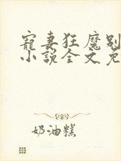 宠妻狂魔别太坏小说全文免费阅读