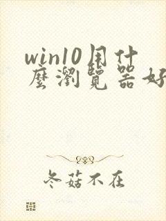 win10用什么浏览器好