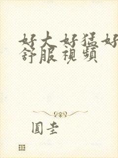 好大好猛好爽好舒服视频