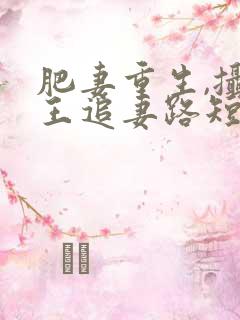 肥妻重生,摄政王追妻路短剧