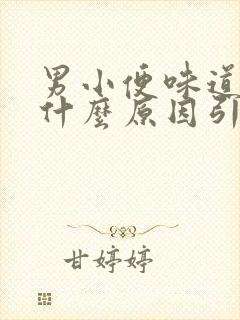 男小便味道重是什么原因引起的