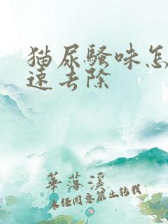 猫尿骚味怎么快速去除