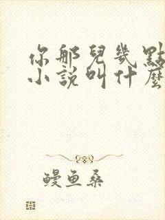 你那儿几点原著小说叫什么