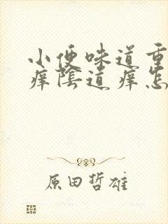 小便味道重而且痒阴道痒怎么回事