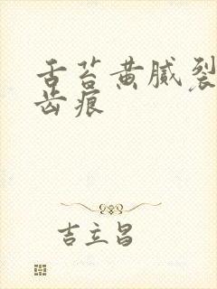 舌苔黄腻裂纹有齿痕