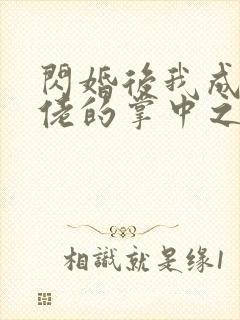 闪婚后我成了大佬的掌中之物哪里免费