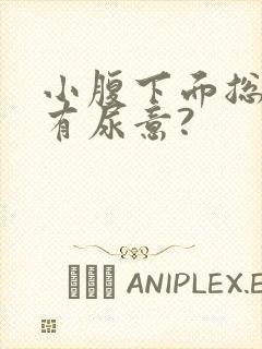 小腹下面总感觉有尿意?