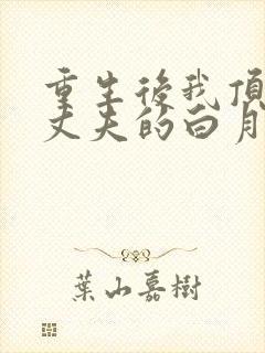 重生后我顶替了丈夫的白月光小说