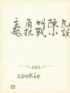 主角叫陈凡的穿越抗战小说