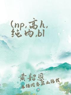 (np,高h,纯肉,bl