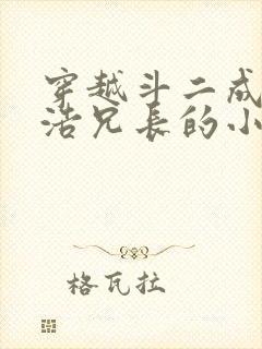 穿越斗二成霍雨浩兄长的小说