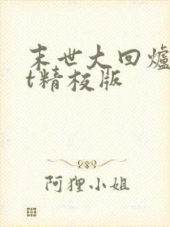 末世大回炉txt精校版