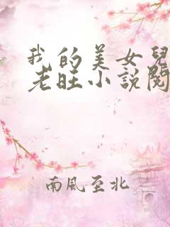 我的美女儿媳妇老旺小说阅读