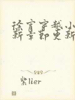 徐宵穿越小说最新章节更新内容