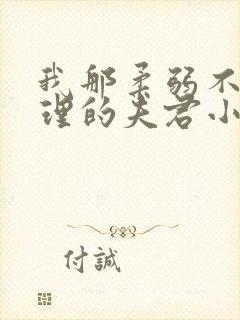 我那柔弱不能自理的夫君小说