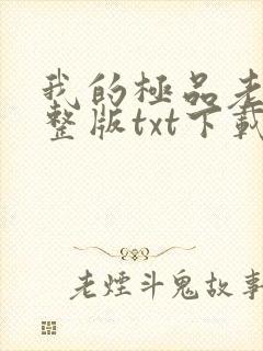 我的极品老婆完整版txt下载