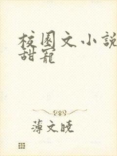 校园文小说推荐甜宠