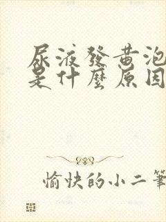 尿液发黄泡沫多是什么原因啊