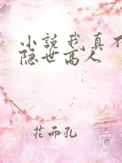 小说 我真不是隐世高人