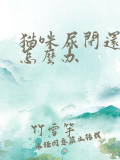 猫咪尿闭还呕吐怎么办